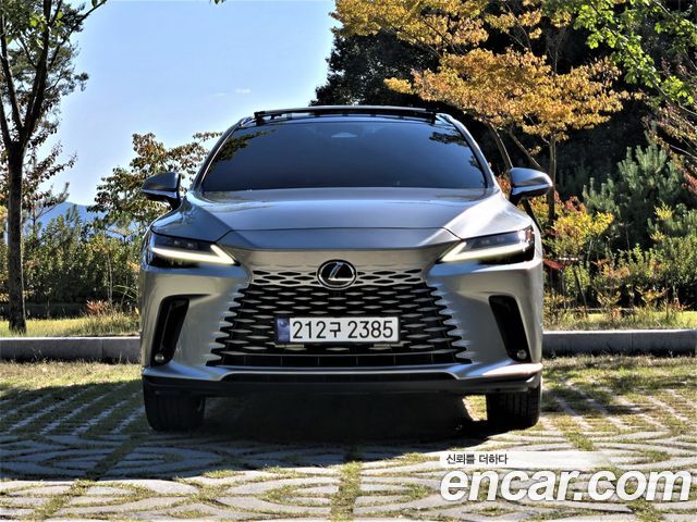 Lexus RX Luxury — пробег 21 300 км — фото 3 из 5
