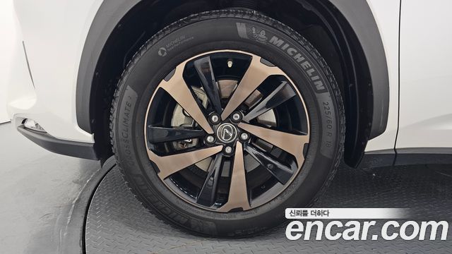 Lexus NX Executive — пробег 53 985 км — фото 5 из 5